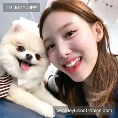 刘慧笛